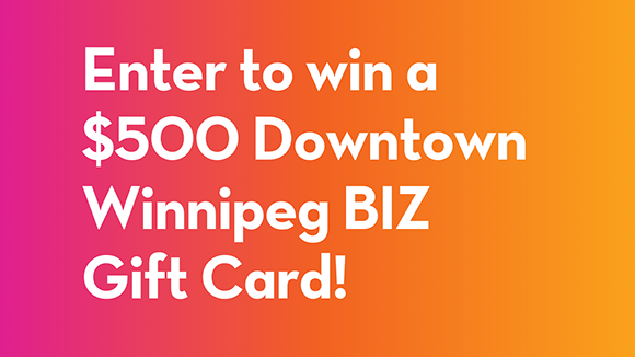 Downtown Winnipeg BIZ survey